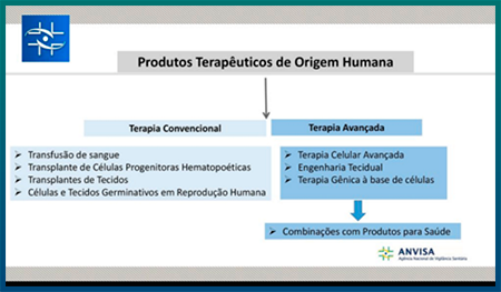 células tronco