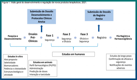 células tronco